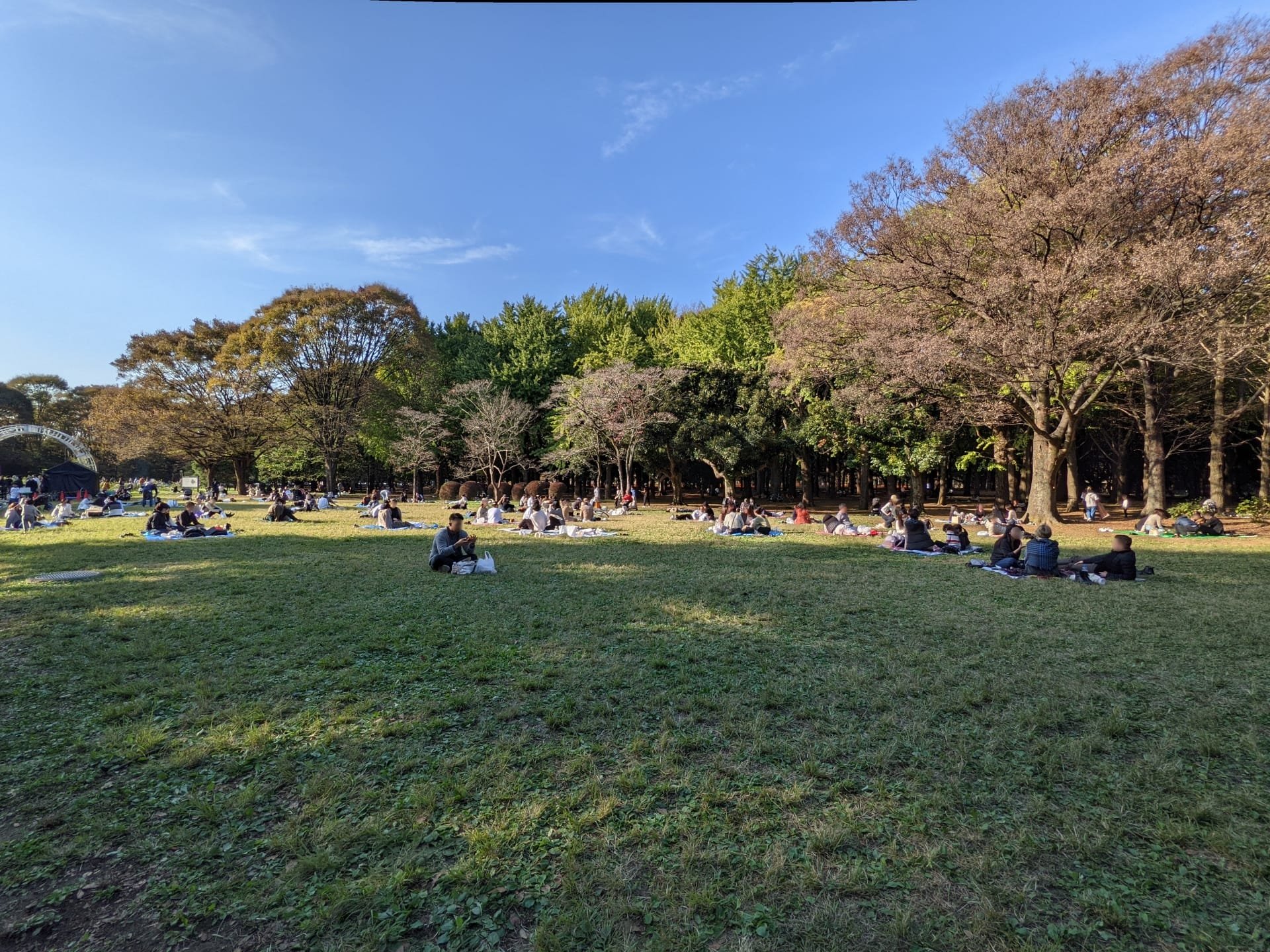 ⛩️ 요요기 하치만 신사(요요기하치만구)